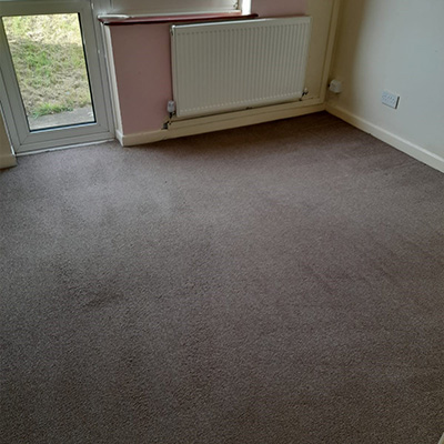 Carpet Cleaning