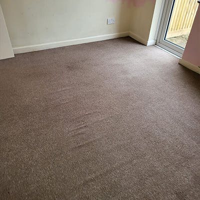 Carpet Cleaning