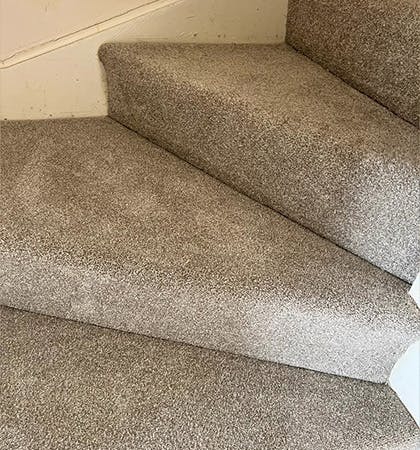 Carpet Cleaning