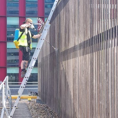 Cladding