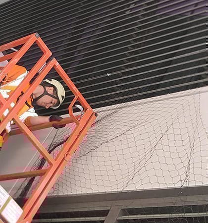 Pigeon Netting